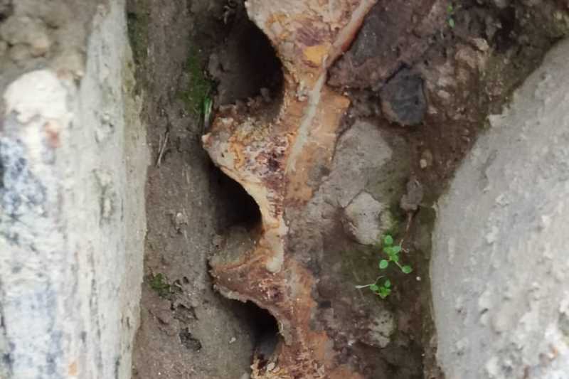 OmecoHub - Immagine FIAT KOBELCO EX135